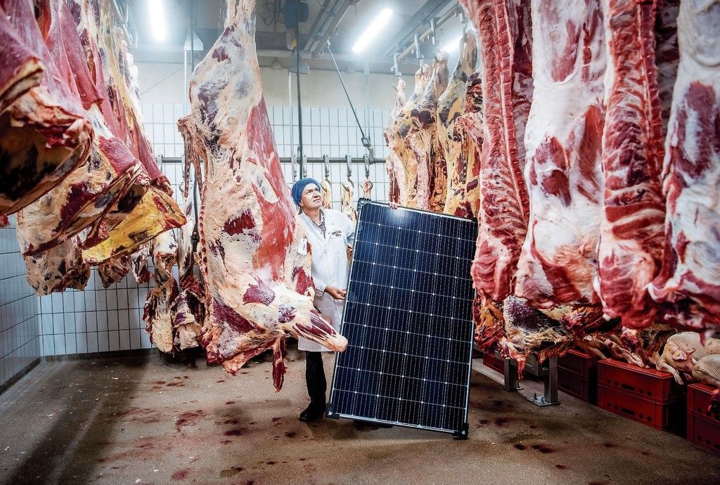 Dagblad van het Noorden: Kroon Vlees in Groningen, de meest duurzame slachterij van Noord-Nederland